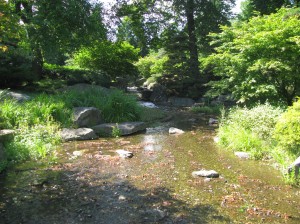 Creek at Platen un Blomen